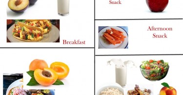 The Best Dog Food For Overweight Dogs In 2024
