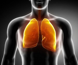 Acute Respiratory Distress Syndrome Symptoms, Causes, Complications ...