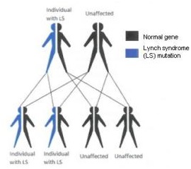 lynch-syndrome