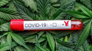 Cannabis use linked to worse COVID-19 outcomes