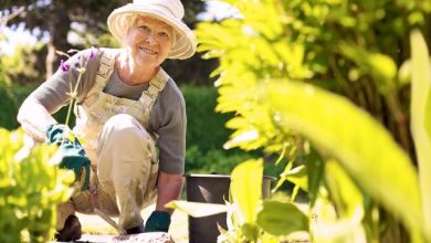 Gardening keeps the brain healthy in old age