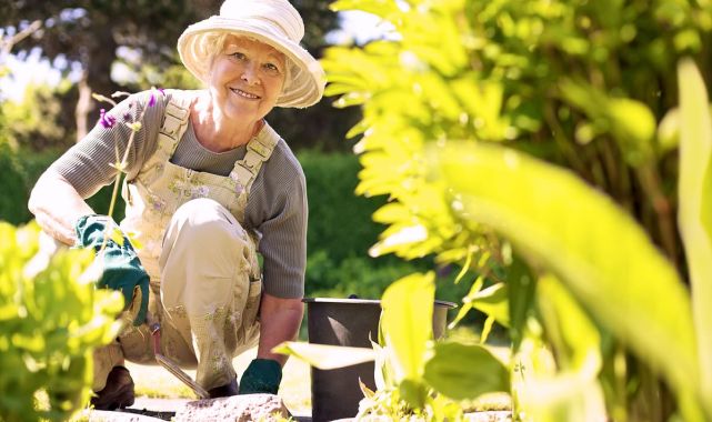 Gardening keeps the brain healthy in old age