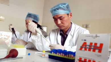 Breakthrough in HIV cure