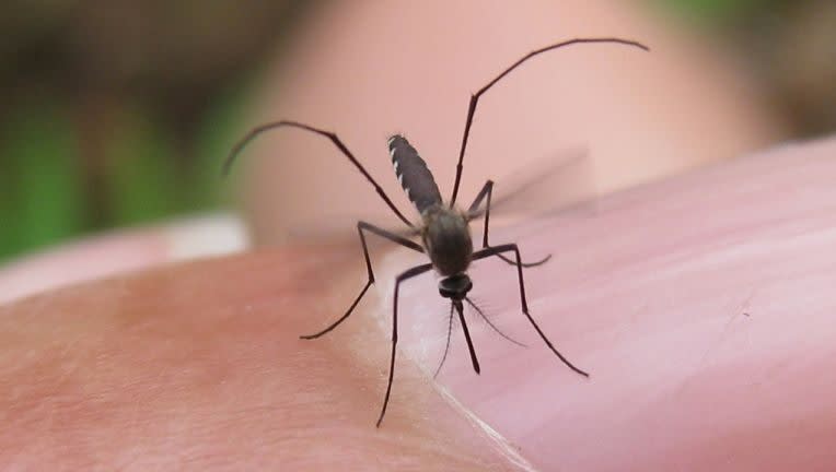 West Nile Virus confirmed on Fort Cavazos