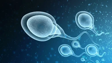 COVID-19 reduces male fertility by affecting semen quality and hormone levels