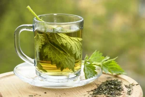 Nettle Leaf Tea