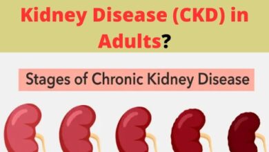 What Are the Primary Causes of Chronic Kidney Disease (CKD) in Adults