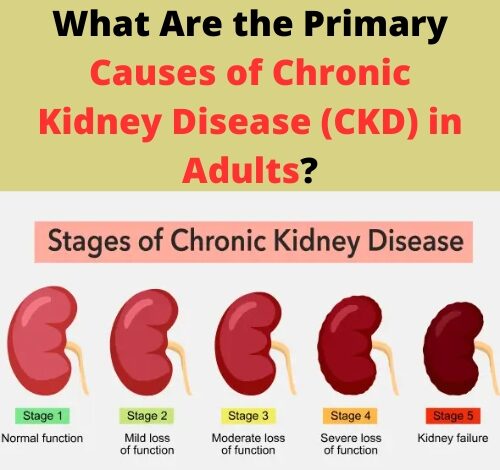 What Are the Primary Causes of Chronic Kidney Disease (CKD) in Adults