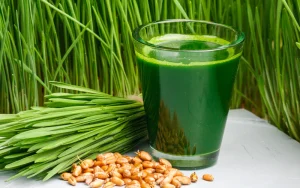 Wheatgrass Juice