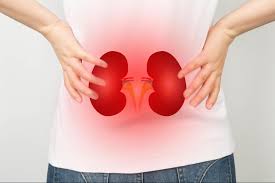 foods for kidney health 2