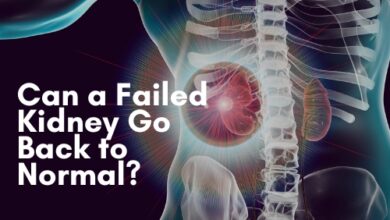 Can a Failed Kidney Go Back to Normal