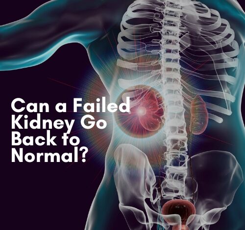 Can a Failed Kidney Go Back to Normal