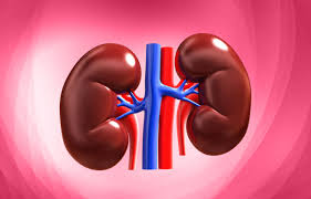 Causes of Kidney Damage