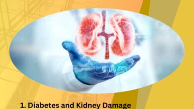 What Are the Four Common Causes of Kidney Damage